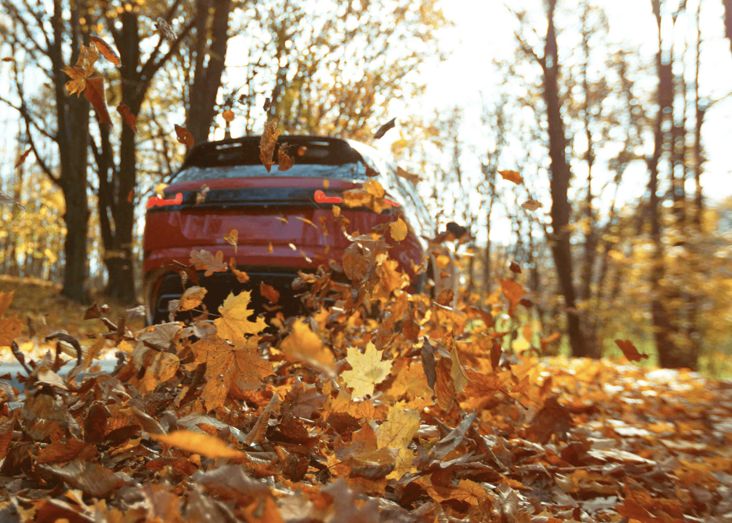 October Fall Blog